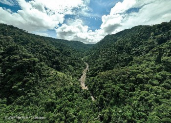WWF Supports Quang Tri in Biodiversity Conservation