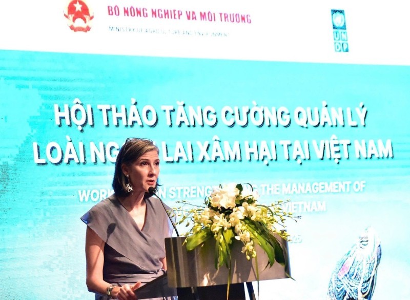Resident Representative of the United Nations Development Programme (UNDP) in Vietnam Ramla Khalidi speaks at the workshop (Photo: VOV) Resident Representative of the United Nations Development Programme (UNDP) in Vietnam Ramla Khalidi speaks at the workshop (Photo: VOV)
