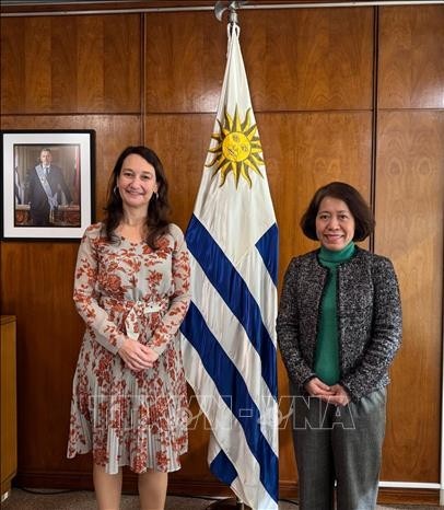 Vietnamese Ambassador to Argentina and Uruguay Ngo Minh Nguyet (right) meets with Uruguay’s Deputy Minister of Foreign Affairs Valeria Csukasi. (Photo: VNA) Vietnamese Ambassador to Argentina and Uruguay Ngo Minh Nguyet (right) meets with Uruguay’s Deputy Minister of Foreign Affairs Valeria Csukasi. (Photo: VNA)