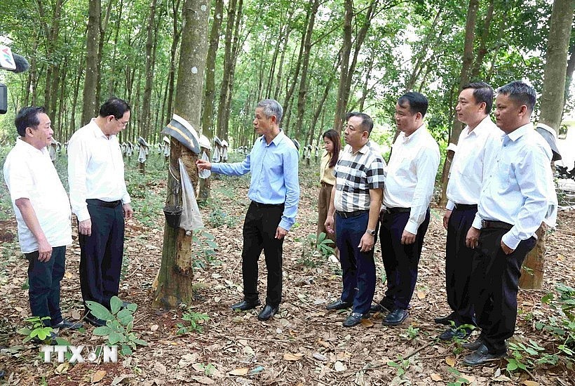 Vietnam News Today (Aug. 10): ss