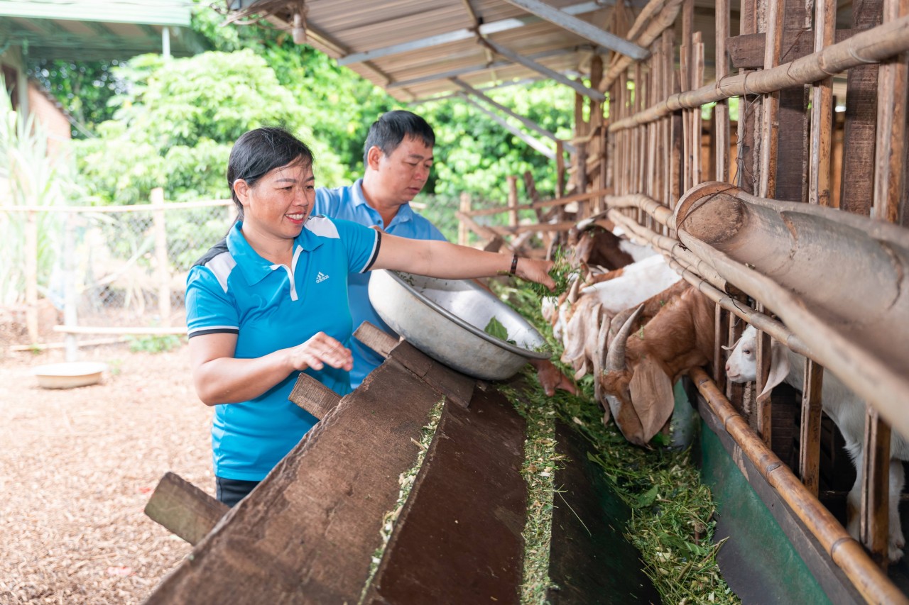 Support For 16,000 Women And Ethnic Minority Communities In Dak Lak To Improve Livelihoods Support For 16,000 Women And Ethnic Minority Communities In Dak Lak To Improve Livelihoods