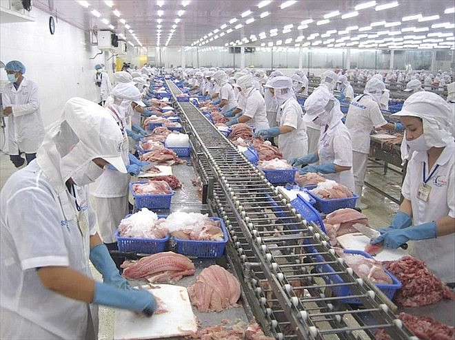 Processing tra fish for export (Photo: VNA) Processing tra fish for export (Photo: VNA)