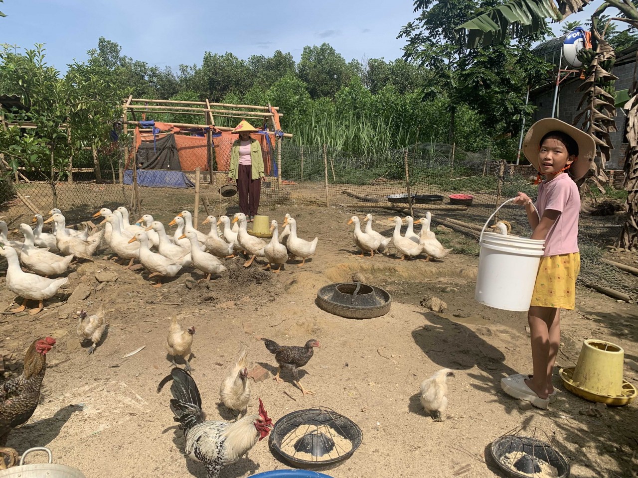 Linh and her daughter take care of the Mavin duck flock together. (Photo: WVIV)