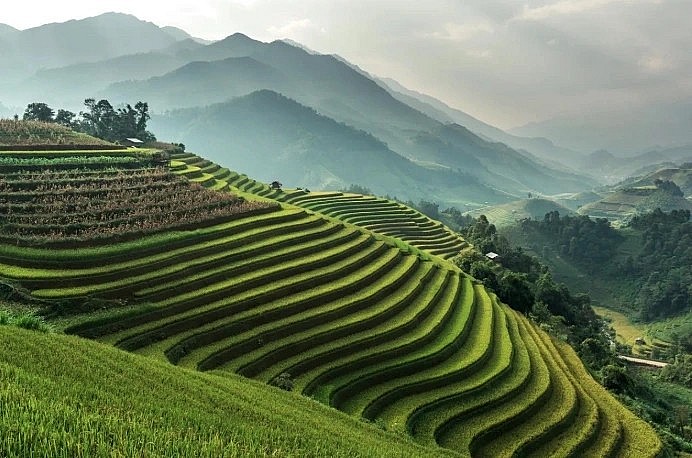 Condé Nast Travel praises Vietnam for its lush terraced rice fields, ancient towns, and emerald bays (Photo: Getty) Condé Nast Travel praises Vietnam for its lush terraced rice fields, ancient towns, and emerald bays (Photo: Getty)