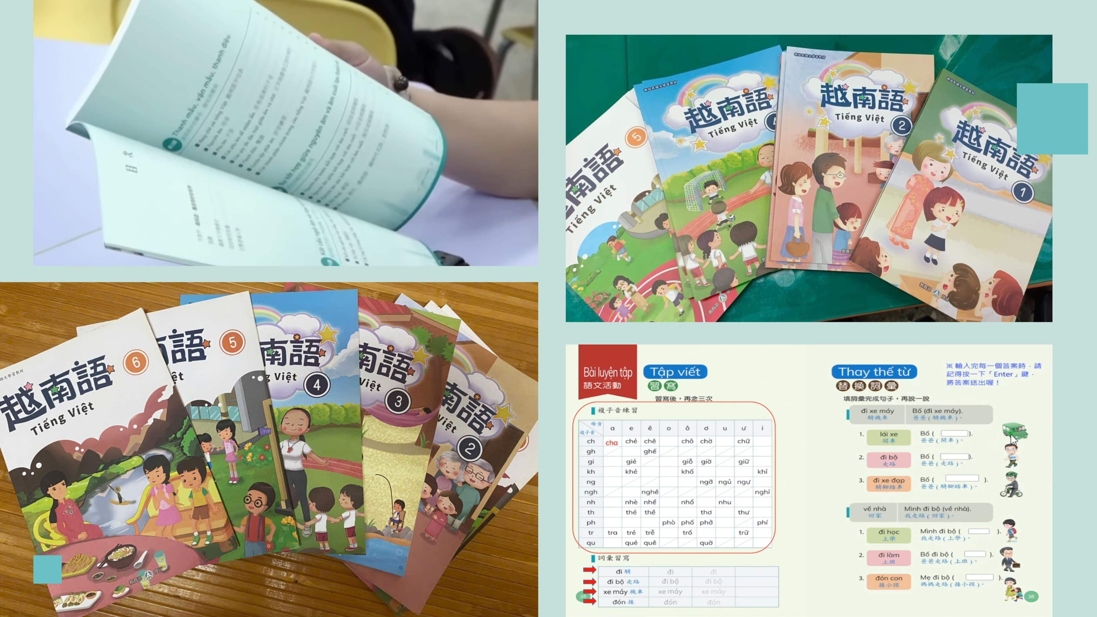 Dr. Nguyen Thi Thanh Ha: Two Decades of Nurturing Vietnamese Language  in Taiwan (China)