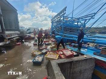 Addressing IUU 