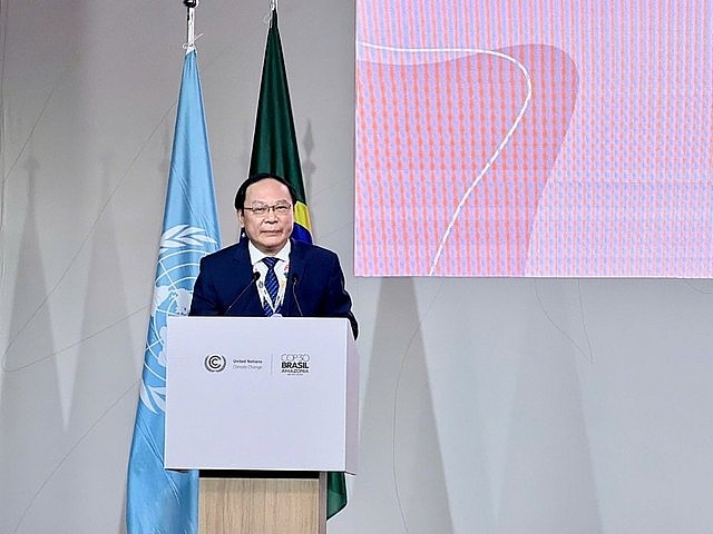 Deputy Minister of Agriculture and Environment Le Cong Thanh.