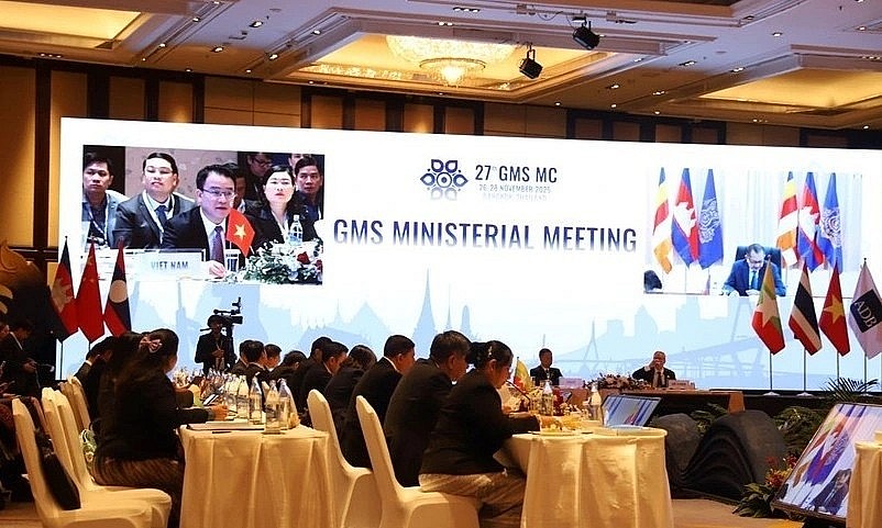 Deputy Minister of Finance Tran Quoc Phuong addresses the meeting (Photo: VNA)