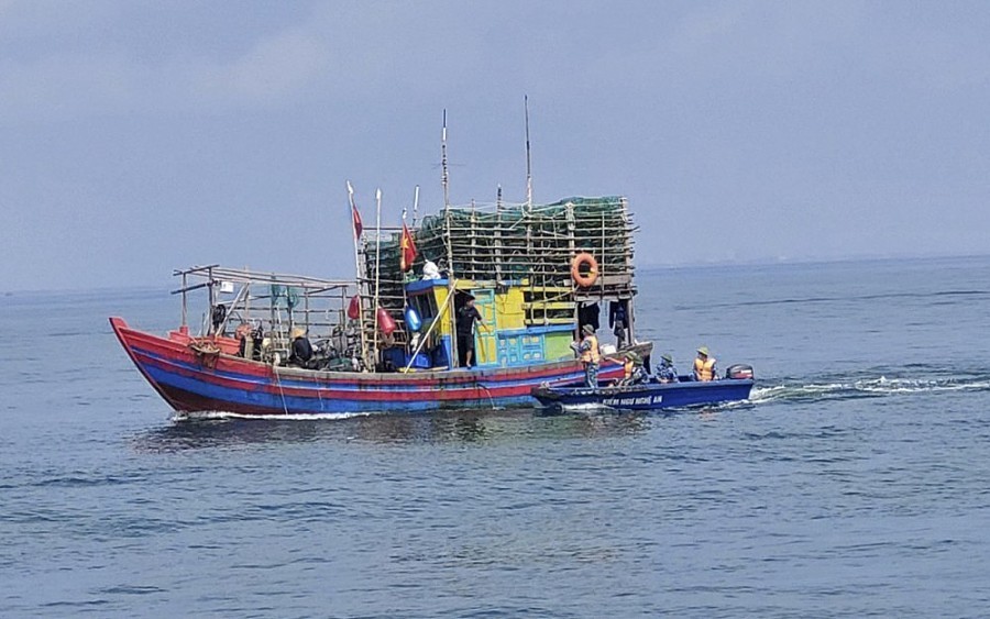 Nghe An Strengthens Control and Strictly Handles IUU Violations Nghe An Strengthens Control and Strictly Handles IUU Violations
