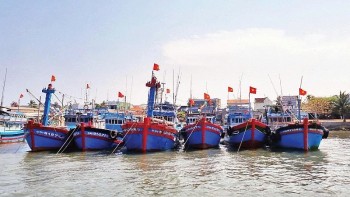 Stepping Up Practical Measures To Lift IUU “Yellow Card” through Fisheries Digitalization