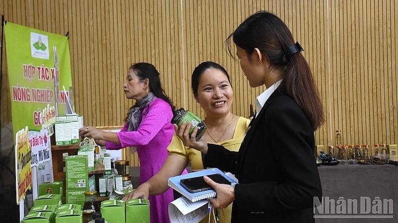 An exhibition area showcasing Da Nang’s clean agricultural products that meet OCOP 4- and 5-star standards. (Photo: Anh Dao)