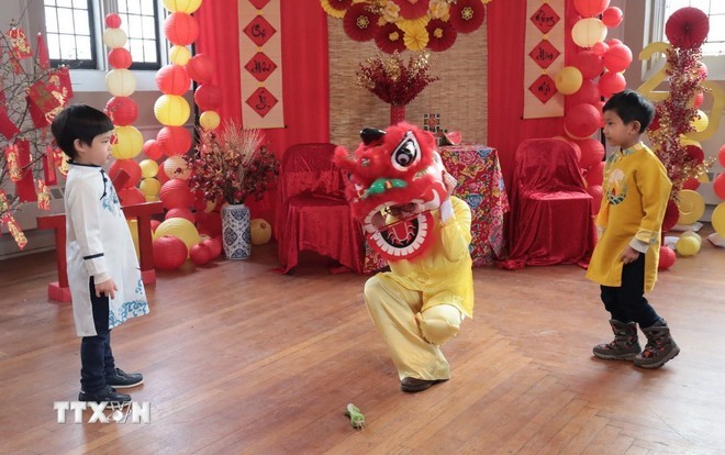 A lion dance performance at the “Tet of the Three Regions – Homeland Spring” event in Pleasantville, Westchester County, New York. (Photo: VNA) A lion dance performance at the “Tet of the Three Regions – Homeland Spring” event in Pleasantville, Westchester County, New York. (Photo: VNA)
