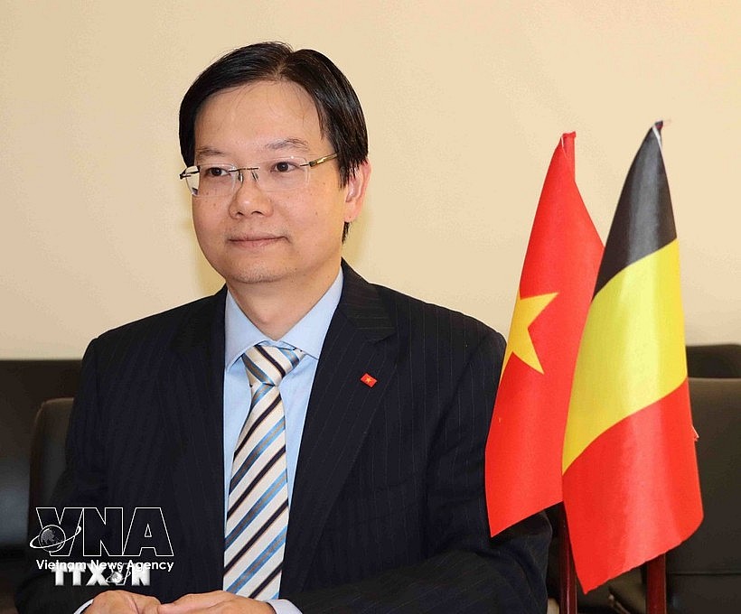 Tran Ngoc Quan, Trade Counsellor and head of the Vietnam Trade Office in Belgium and the EU (Photo: VNA) Tran Ngoc Quan, Trade Counsellor and head of the Vietnam Trade Office in Belgium and the EU (Photo: VNA)