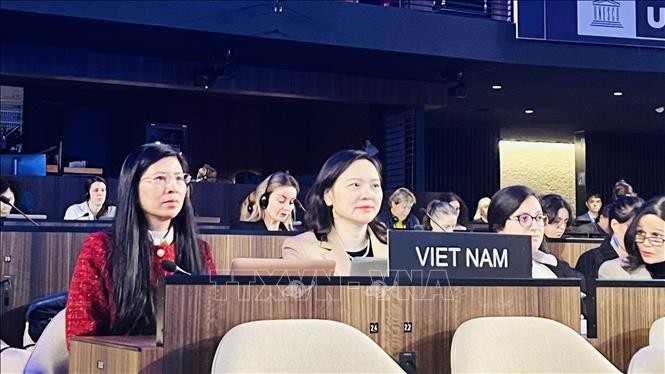 Ambassador Nguyen Thi Van Anh, Permanent Representative of Vietnam to UNESCO (Photo published by VNA)