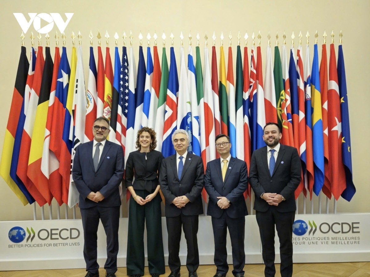 Dr. Fatih Birol (center), Executive Director of the IEA, affirmed that member countries highly value the increasingly deepening cooperation with Vietnam. (Photo: VOV). Dr. Fatih Birol (center), Executive Director of the IEA, affirmed that member countries highly value the increasingly deepening cooperation with Vietnam. (Photo: VOV).