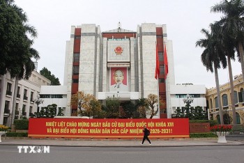 Overseas Vietnamese in Japan Voice Expectations for New Policy Directions Ahead of National Elections