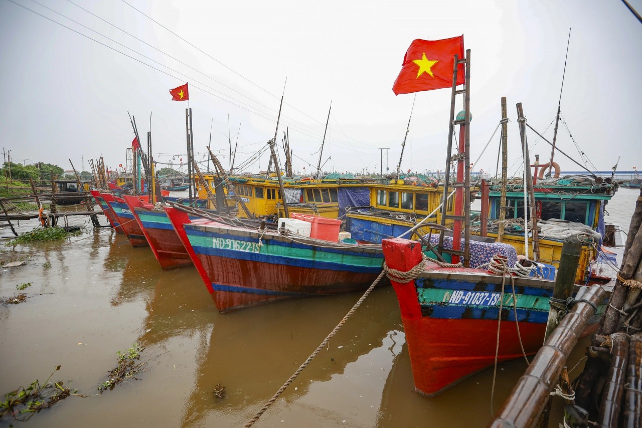 Ninh Binh tightens management of fishing vessels, prepares for the fifth EC inspection mission. (Photo: KT) Ninh Binh tightens management of fishing vessels, prepares for the fifth EC inspection mission. (Photo: KT)