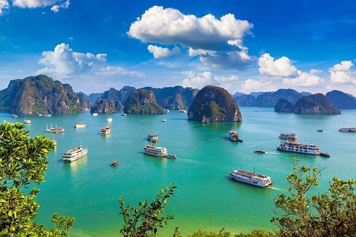 Ha Long Bay is always a must-visit destination for international tourists when coming to Vietnam. (Photo: Collected) Ha Long Bay is always a must-visit destination for international tourists when coming to Vietnam. (Photo: Collected)