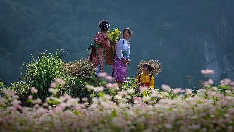 The 2026 Vietnam Ethnic Groups’ Cultural Day (April 19) will be held from April 17 to 19 at the Viet Nam National Village for Ethnic Culture and Tourism. The 2026 Vietnam Ethnic Groups’ Cultural Day (April 19) will be held from April 17 to 19 at the Viet Nam National Village for Ethnic Culture and Tourism.