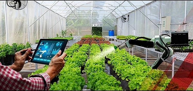 Vietnam and Mexico step up cooperation in high-tech and sustainable agriculture (Illustrative photo) Vietnam and Mexico step up cooperation in high-tech and sustainable agriculture (Illustrative photo)