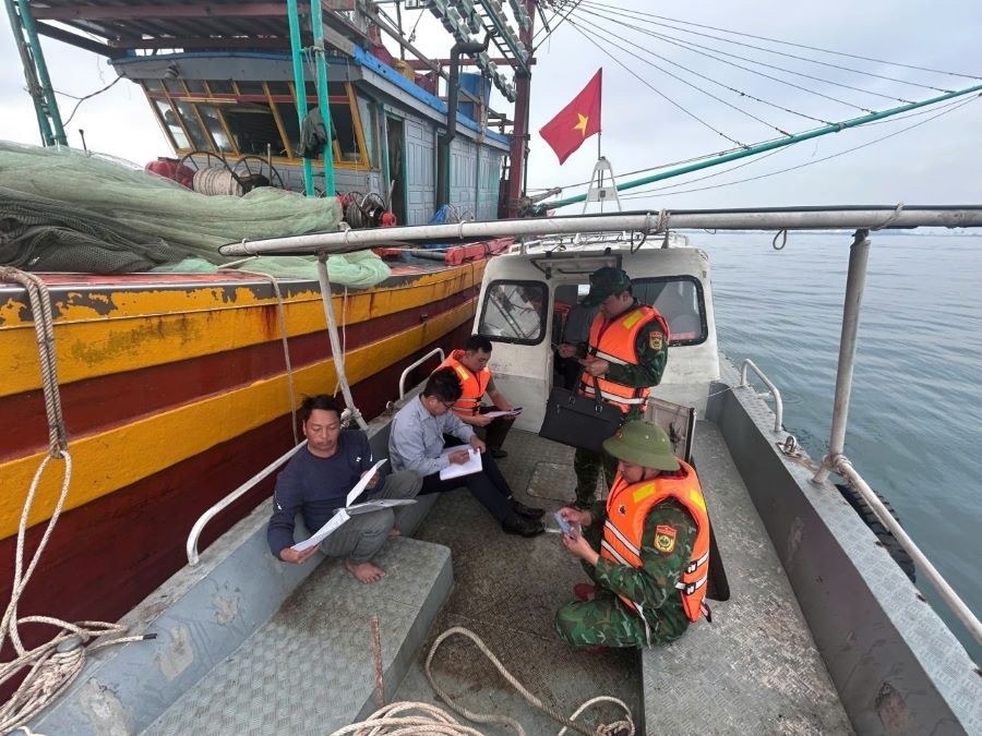Quang Tri intensifies coordinated efforts against IUU fishing Quang Tri intensifies coordinated efforts against IUU fishing