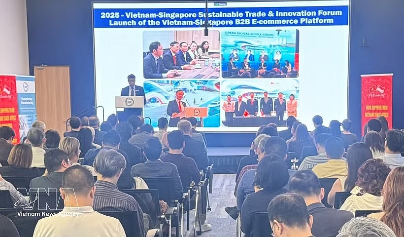 The Vietnam – Singapore business networking programme held in Singapore on April 17. (Photo: VNA)