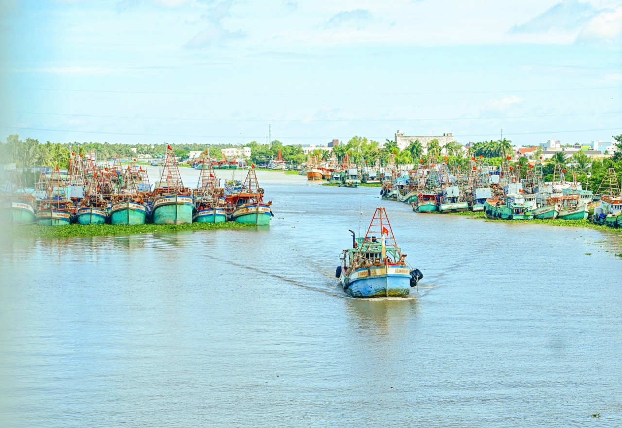 An Giang Combat IUU Fishing Violation by Tightening Boat Management An Giang Combat IUU Fishing Violation by Tightening Boat Management