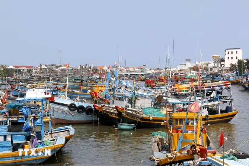 Fishing boats anchored along the Ca Ty River. (Photo: Hong Hieu/VNA)