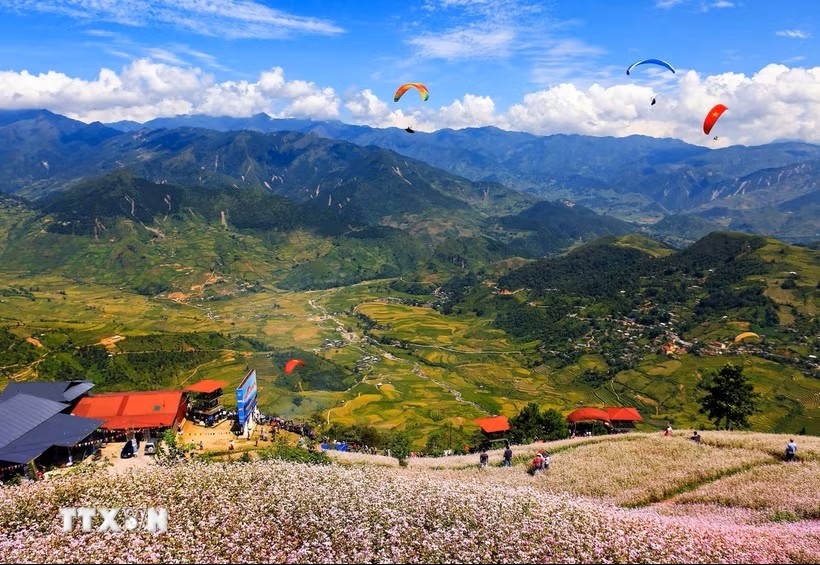 Paragliding experience in the Tu Le area. (Illustrative photo: VNA) Paragliding experience in the Tu Le area. (Illustrative photo: VNA)