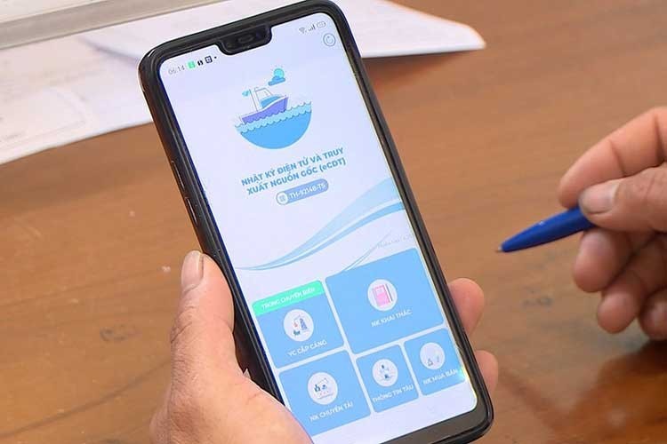 Electronic Fishing Logbooks: A Step Forward in Modernizing Fisheries in Ho Chi Minh City. (Illustrative photo: KT)