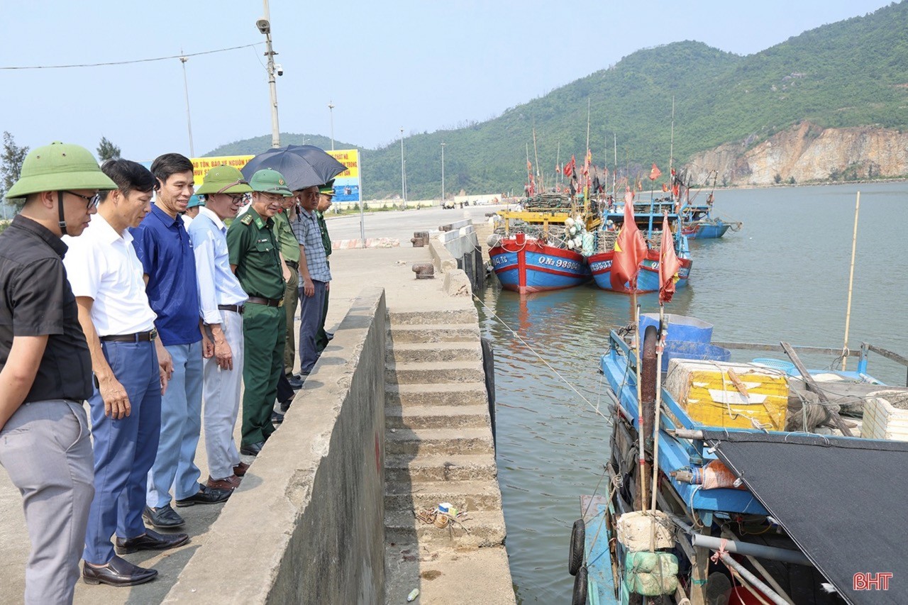 Ha Tinh Continues to Address Remaining Issues in Combating IUU Fishing Ha Tinh Continues to Address Remaining Issues in Combating IUU Fishing