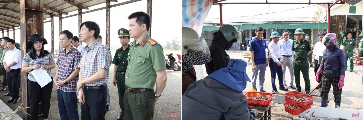 Ha Tinh Continues to Address Remaining Issues in Combating IUU Fishing Ha Tinh Continues to Address Remaining Issues in Combating IUU Fishing