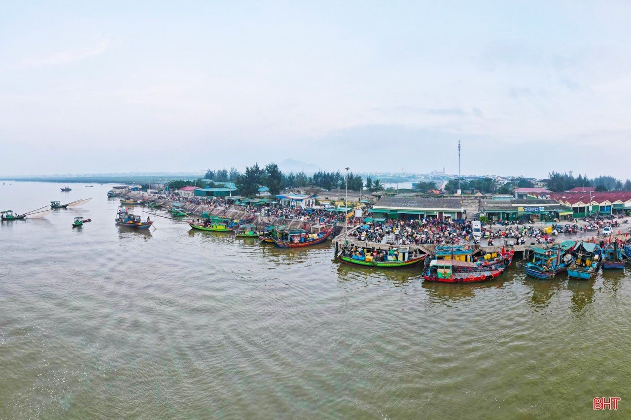 Ha Tinh Continues to Address Remaining Issues in Combating IUU Fishing Ha Tinh Continues to Address Remaining Issues in Combating IUU Fishing