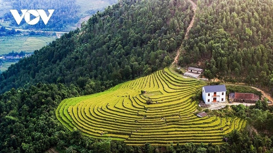 Terraced rice fields in Tuyen Quang province, northern Vietnam Terraced rice fields in Tuyen Quang province, northern Vietnam