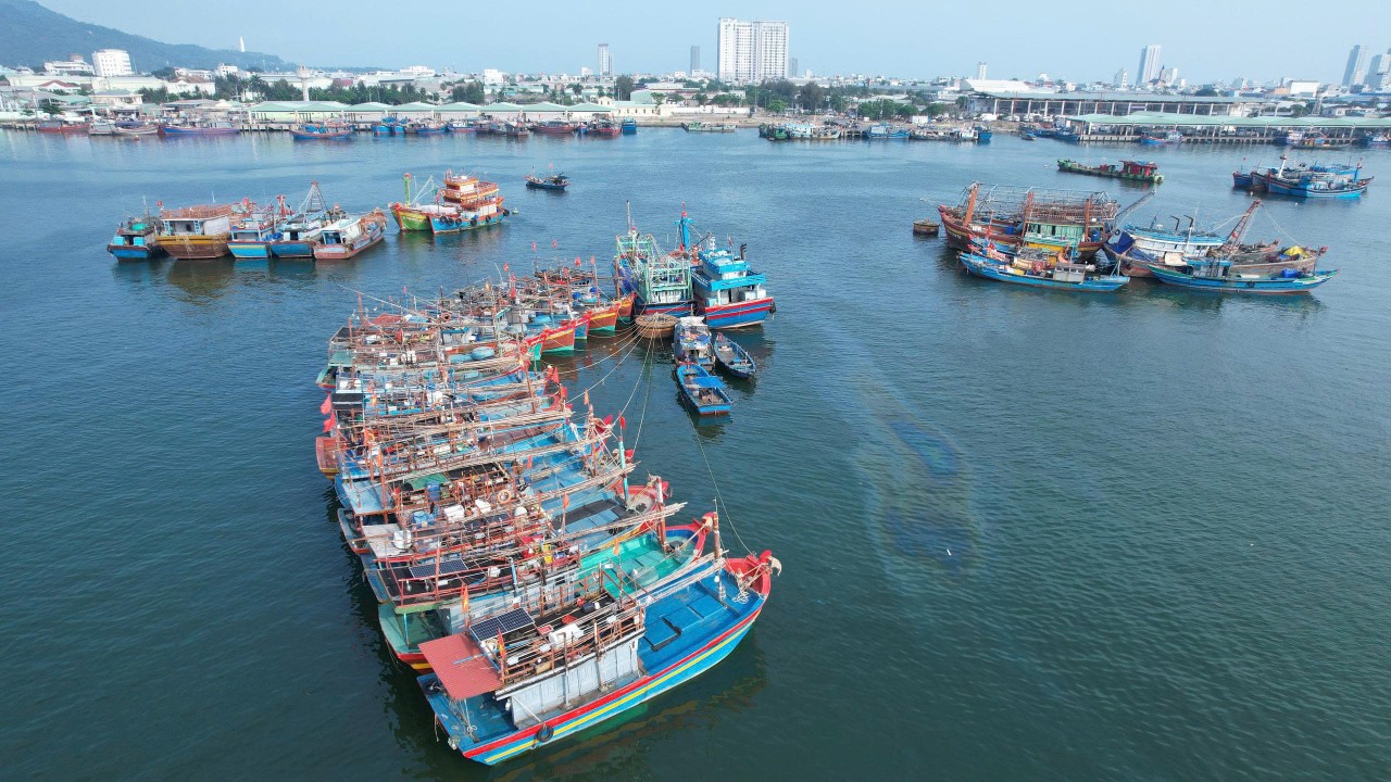Da Nang currently has 4,062 fishing vessels, all registered and updated in the VnFishbase system (Photo: danang.gov.vn) Da Nang currently has 4,062 fishing vessels, all registered and updated in the VnFishbase system (Photo: danang.gov.vn)