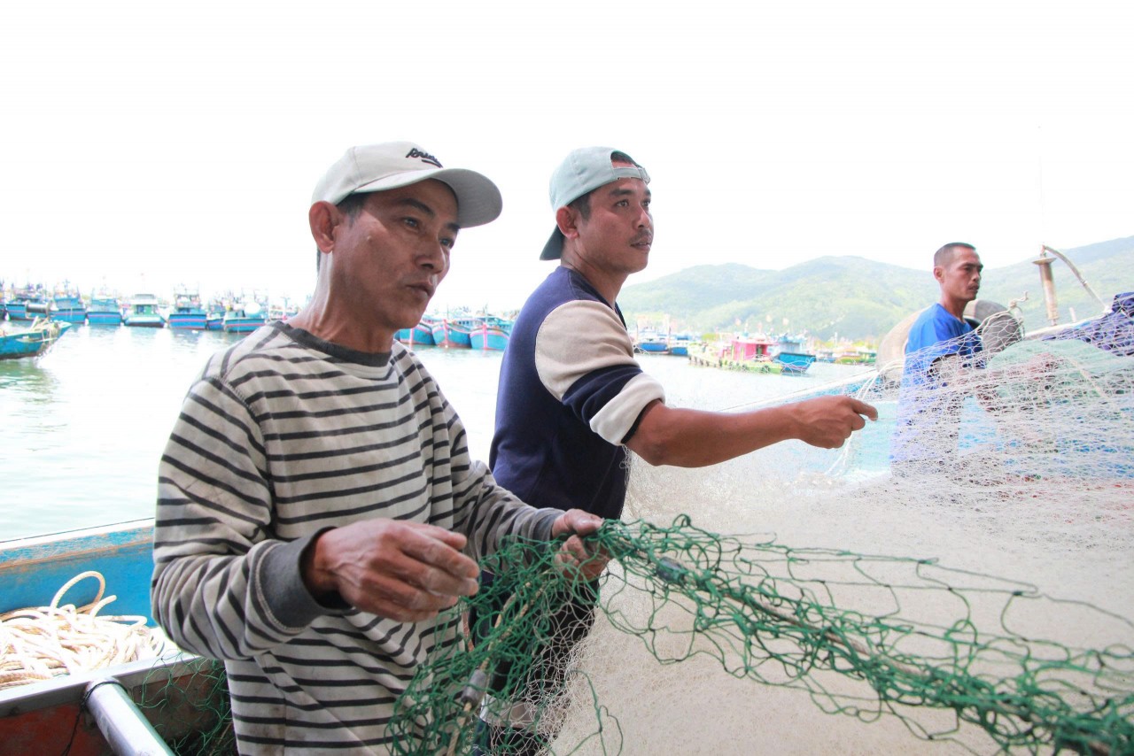 Digital technology applications help fishermen confidently head offshore and contribute to anti-IUU efforts (Photo: danang.gov.vn) Digital technology applications help fishermen confidently head offshore and contribute to anti-IUU efforts (Photo: danang.gov.vn)