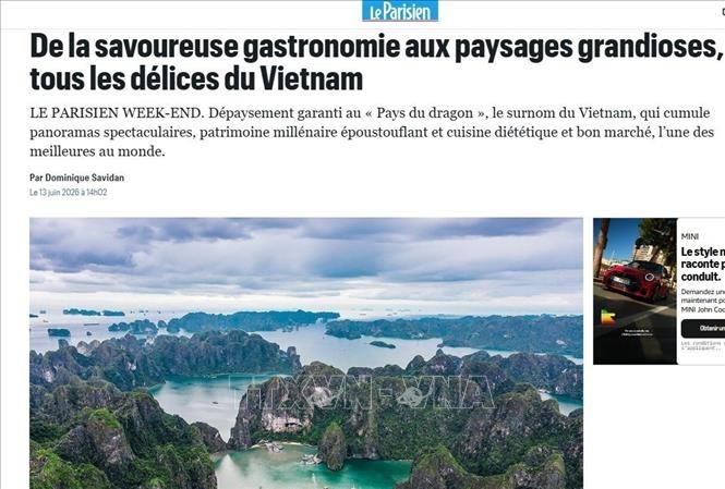 Vietnam’s Endless Charm Attracts International Tourists