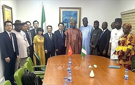 Vietnam Promotes Substantive Cooperation with West African Countries Vietnam Promotes Substantive Cooperation with West African Countries