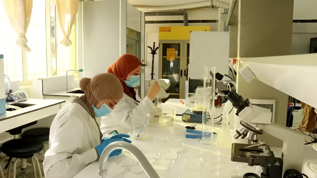 The modern microbiology laboratory of the University of Skikda, Algeria. (Photo: VNA) The modern microbiology laboratory of the University of Skikda, Algeria. (Photo: VNA)