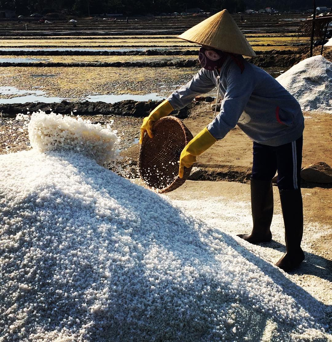 Top 4 magnificent salt fields in Ninh Thuan Top 4 magnificent salt fields in Vietnam's Central region
