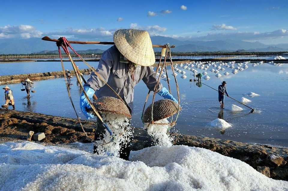 Top 4 magnificent salt fields in Vietnam's Central region Top 4 magnificent salt fields in Vietnam's Central region