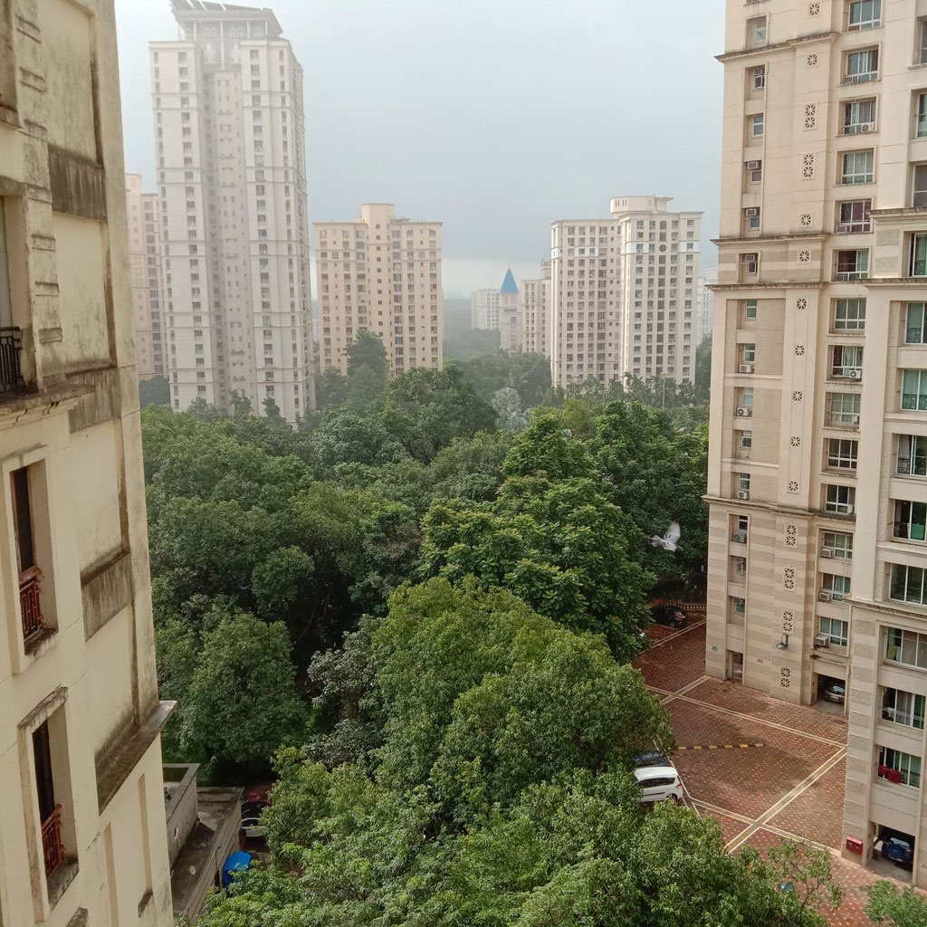 Vietnamese community in India amidst raging Covid-19: nervous but try to stick Vietnamese community in India amidst raging Covid-19: nervous but try to stick