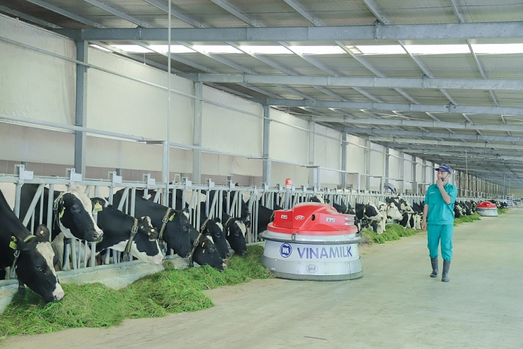 Vinamilk, Vietnam’s top brand in liquid milk for many consecutive years Vinamilk, a Vietnamese top brand in liquid milk for many consecutive years