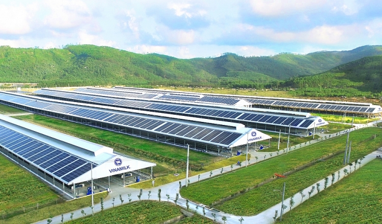 Vinamilk, Vietnam’s top brand in liquid milk for many consecutive years Vinamilk, a Vietnamese top brand in liquid milk for many consecutive years