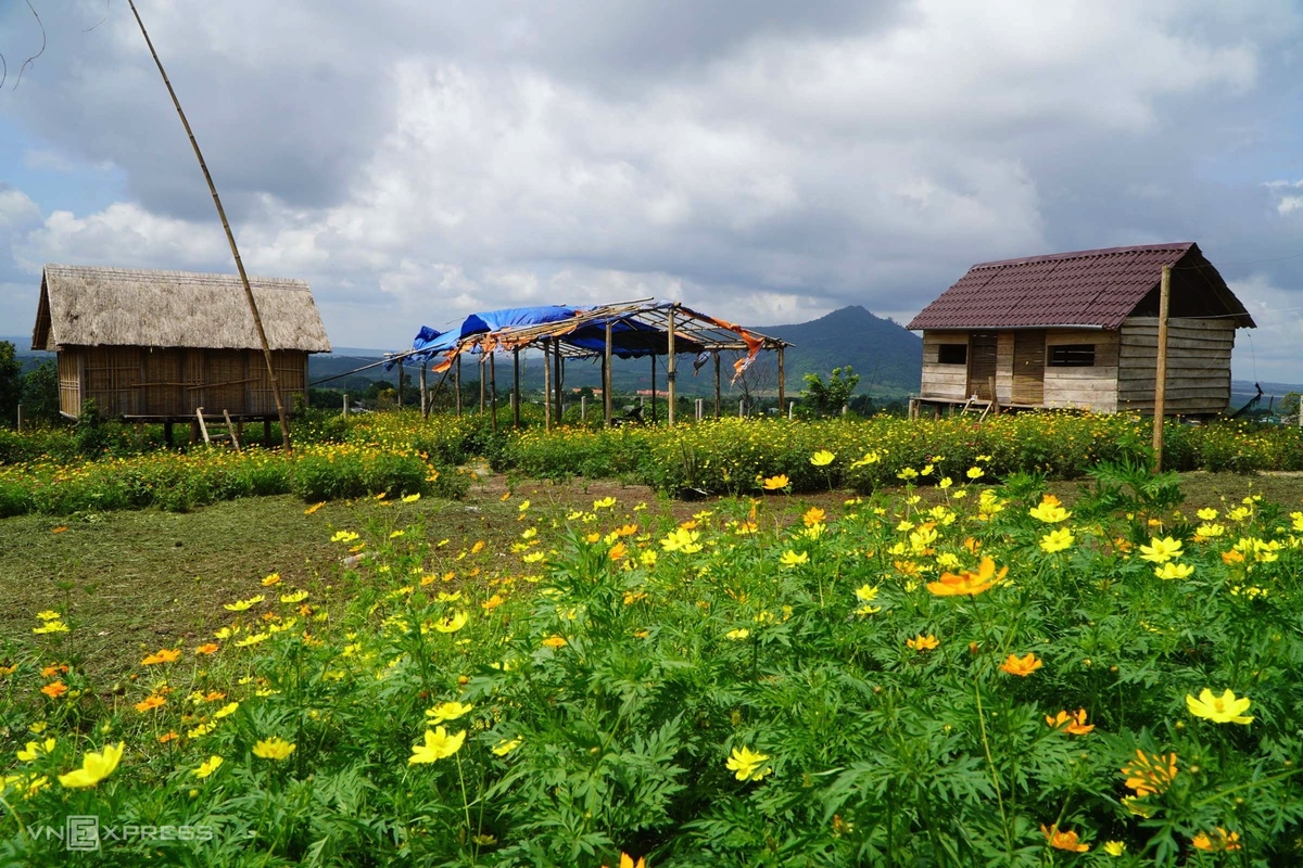 Gia Lai, place of wildly beautiful volcanoes Gia Lai: where beautiful volcanoes abound
