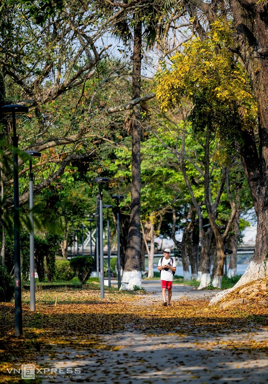 A glimpse of idyllic life in Hue amid summer days 2935 5