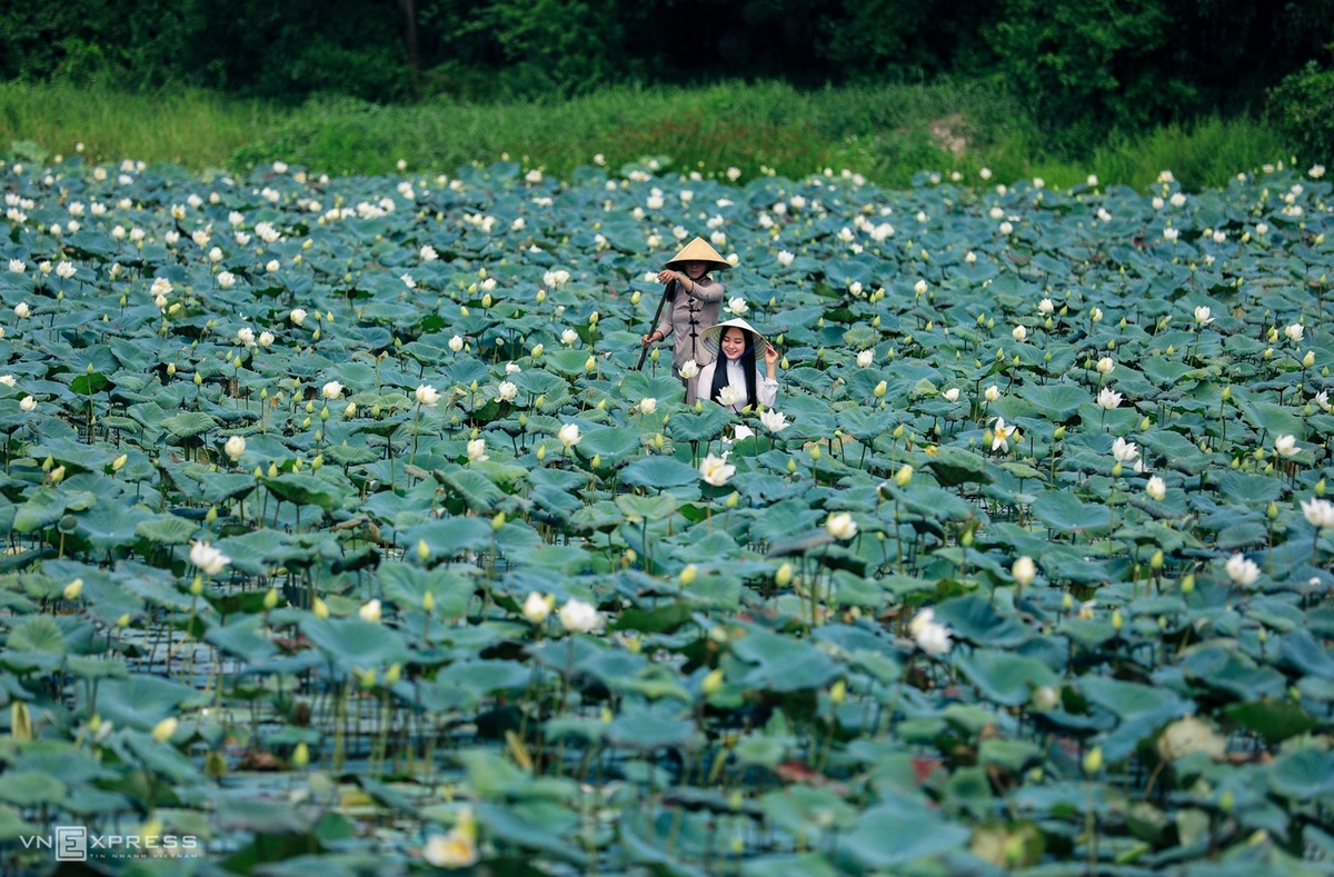 A glimpse of idyllic life in Hue amid summer days 2950 8