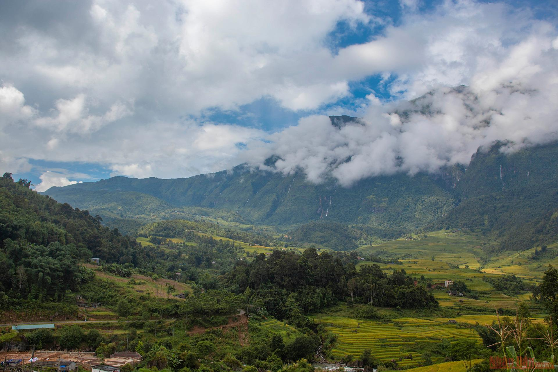 magnificent y ty plateau in ripening rice season