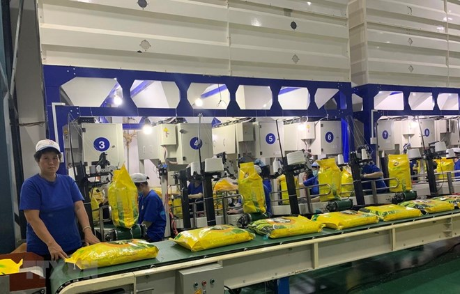 first vietnamese batch of rice to export eu with zero tariff