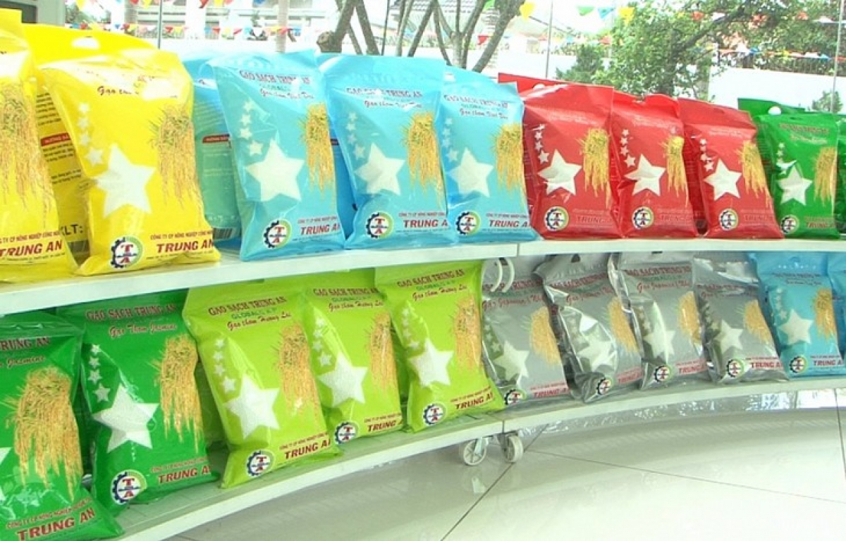 overseas vietnamese businesses assist domestic ones to take full advantages of evfta